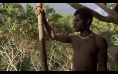 [VIDEO] The Sweet Nature of the Korowai Tribe and the Amazing Place They Build Their Homes